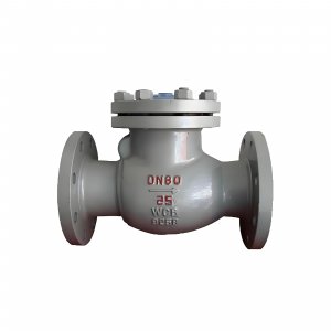 DN50 PN25 介質(zhì)：甲胺，溫度：80℃止回閥
